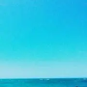 sss