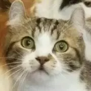 ゆちょなむ♪☆平日のみ配送の画像
