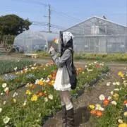 さくらんぼ　※プロフ必見の画像