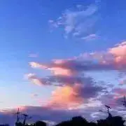 とと