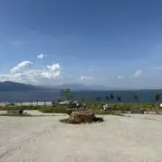 もじょの画像