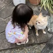 さくの画像