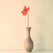 ♡貧困で値下げ‪‪不可♡発送遅め♡の画像