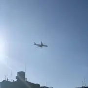 タイガー鬱