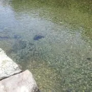 サワディーの画像
