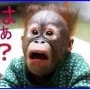 Jokerの画像