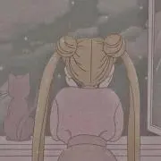 蝶々さんの画像