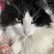 タケゾー