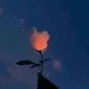 かつおぶしの画像