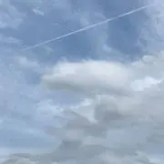ぴーちゃんの画像