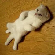 ATARU