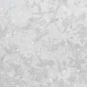 a0000の画像