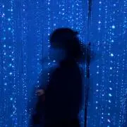 ミソミソゼミの画像