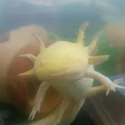 まる★まとめてご購入は安くしますの画像