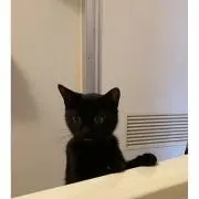 しぃ