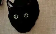 kakoの画像