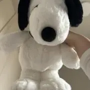 ショウの画像