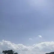ぺっくる☆の画像