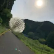 しまじろーの画像