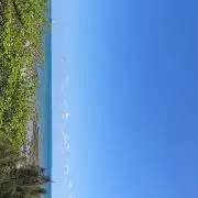 ゆたの画像