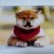 うーぴょんぴょん