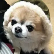 みゆりゆの画像