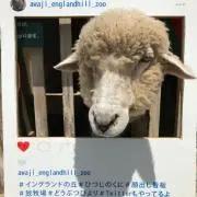 Ryota  Kinoshitaの画像