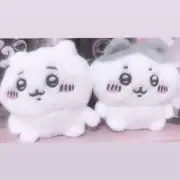 とぅんの画像