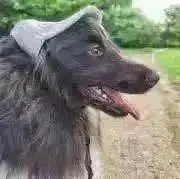 きあら＊プロフ確認お願いします。の画像