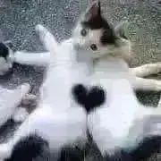 なおこ❤️素敵なご縁に感謝❤️の画像