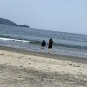 あいまの画像