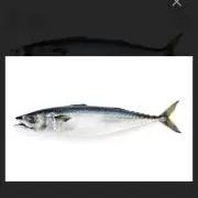 とれもろの画像