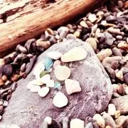 Riju-shop:)の画像