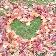 mari