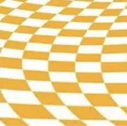ざますからすの画像