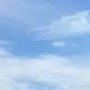 Mの画像