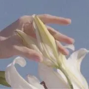 grumpyの画像