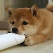 hika