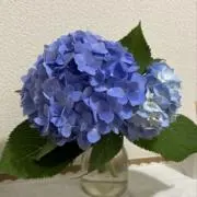 Junko⭐︎の画像