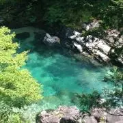 つゆるりの画像