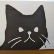 にょん☆の画像