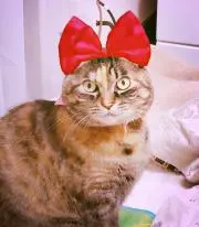 bーちゃんの画像
