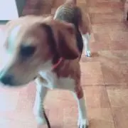 さー