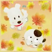 ゆいの画像