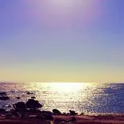 D86の画像