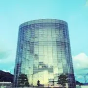 わんこの画像