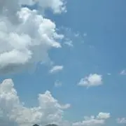 m.の画像