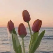 m♡の画像