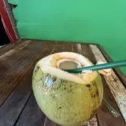 掃除機の麓の画像