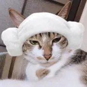 TOMO